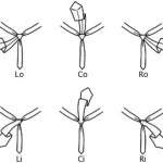 6 возможных движений в процессе завязывания галстука
