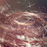 Маски против выпадения волос – есть ли эффект?