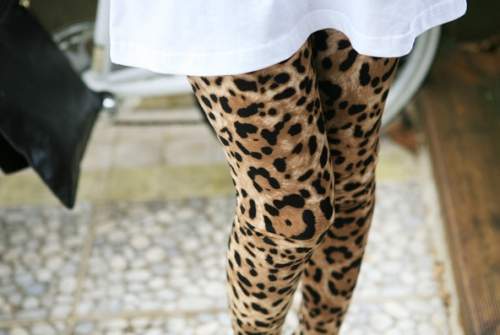леопардовые леггинсы с чем носить