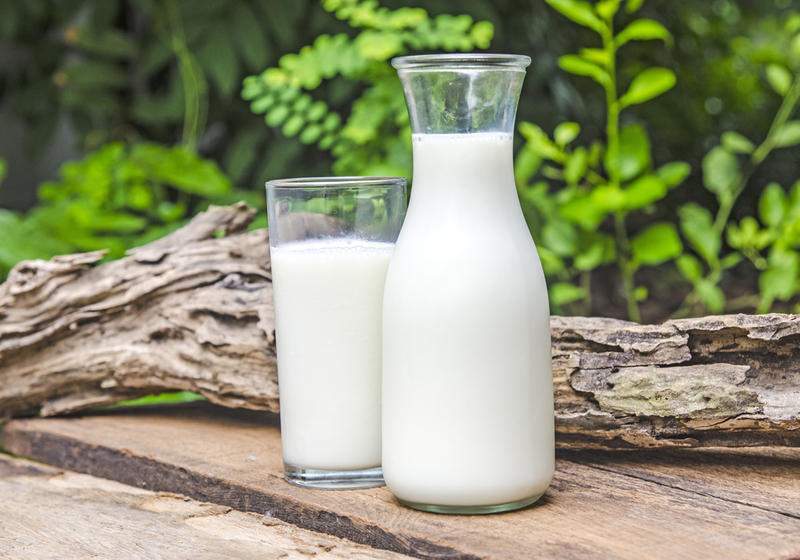 Image result for польза молока